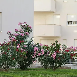 Luce Gold Apartament Zadar